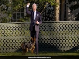Pets, Press And Christmas: How Joe Biden Changed The White House Pets, Press And Christmas: How Joe Biden Changed The White House