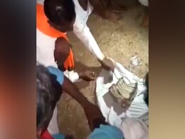 महिलाओं की नीलामी, सदियों से नातरा प्रथा का नासूर झेल रही हैं एमपी के इस जिले की औरतें महिलाओं की नीलामी, सदियों से नातरा प्रथा का नासूर झेल रही हैं एमपी के इस जिले की औरतें