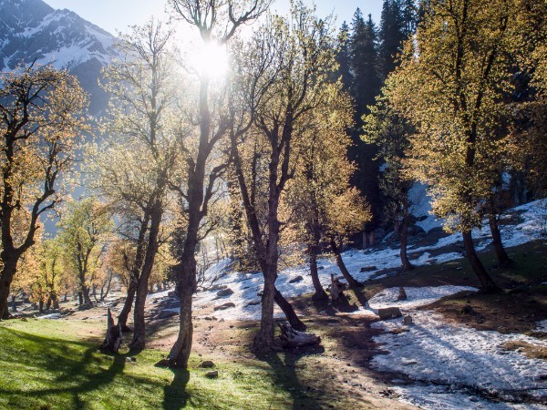 Scenic Drives in Jammu and Kashmir