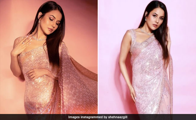 Shehnaaz Gill Is An Ethnic Glamazon In A Glittery Pink Manish Malhotra <i>Saree</i>