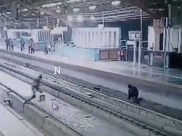 Man Busy Looking at Phone Falls On Delhi Metro Tracks; Rescued by CISF