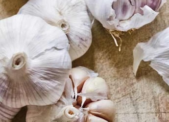 5 Healthy Kitchen Ingredients You Must Keep Handy During Monsoon - Expert Suggests 5 Healthy Kitchen Ingredients You Must Keep Handy During Monsoon - Expert Suggests
