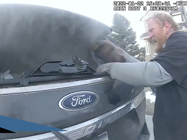 जलती हुई कार का शीशा तोड़ पुलिसवाले ने बचाई कुत्ते की जान