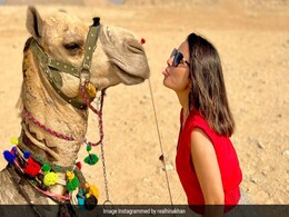 In Egypt, Hina Khan Found The "Perfect Companion" To Visit The Pyramids At Giza In Egypt, Hina Khan Found The "Perfect Companion" To Visit The Pyramids At Giza