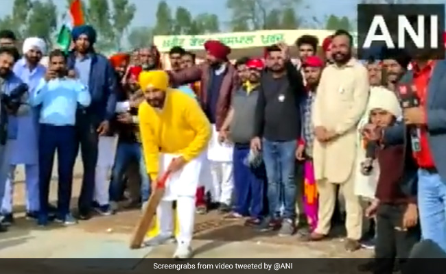 Watch: Charanjit Channi Plays Cricket, Cards During Campaigning