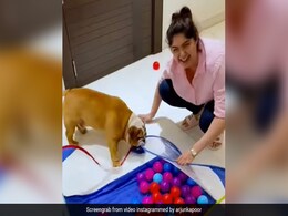 Arjun Kapoor's Post For Pet Pooch Max Is Just Too Cute Arjun Kapoor's Post For Pet Pooch Max Is Just Too Cute
