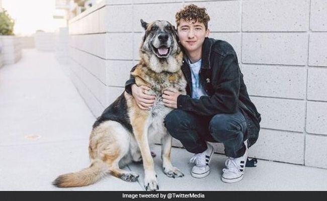 Meet Matt Nelson, The Man Behind 'We Rate Dogs'