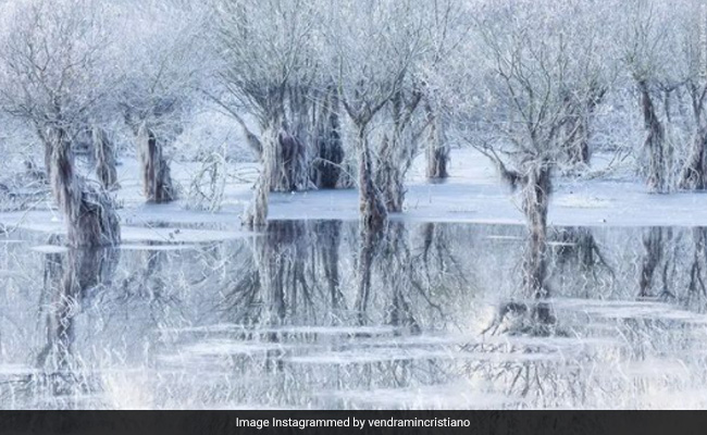 इस फोटो को चुना गया वाइल्डलाइफ फोटोग्राफर ऑफ द ईयर, जानिए इसमें क्या है खास