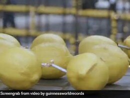 Watch: Largest Fruit Battery Made With Lemons Awarded World Record; Details Inside