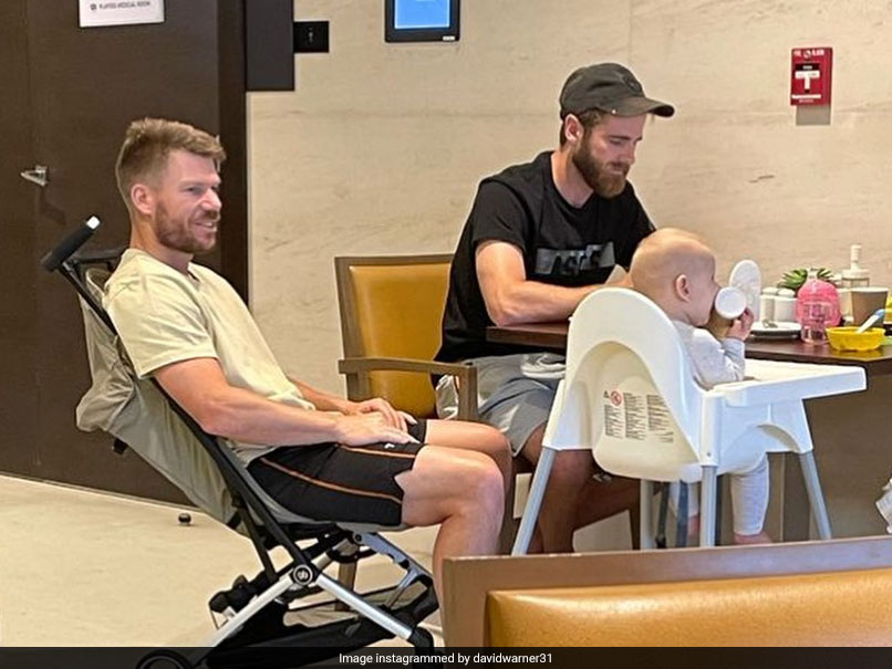 David Warner Posts Photo With Kane Williamson's Daughter, Writes Emotional Post. See Pics