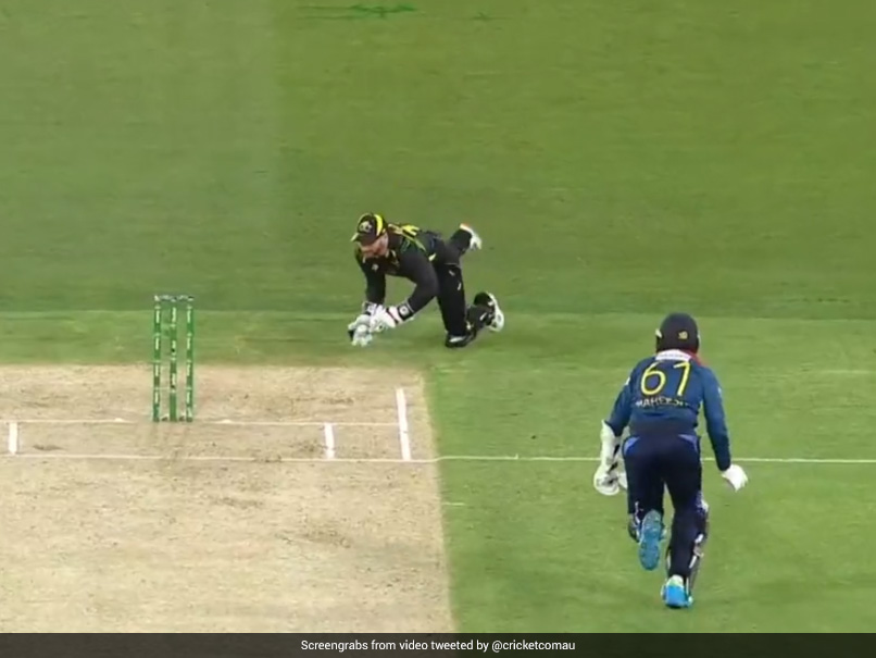 Watch: Matthew Wade, Aaron Finch Combine Brilliantly For "Crazy Run Out" In 4th T20I Against Sri Lanka