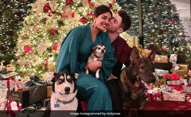 Priyanka Chopra And Nick Jonas "Built The Home They Dreamt Of" In Los Angeles - Details Here