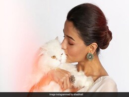 "Edward <i>Bhai Aur Gangubai</i>": Alia Bhatt's Caption Or The Pic, Can't Decide What's Better "Edward <i>Bhai Aur Gangubai</i>": Alia Bhatt's Caption Or The Pic, Can't Decide What's Better