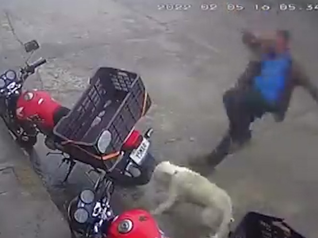 Instant Karma For Man Trying To Kick Dog