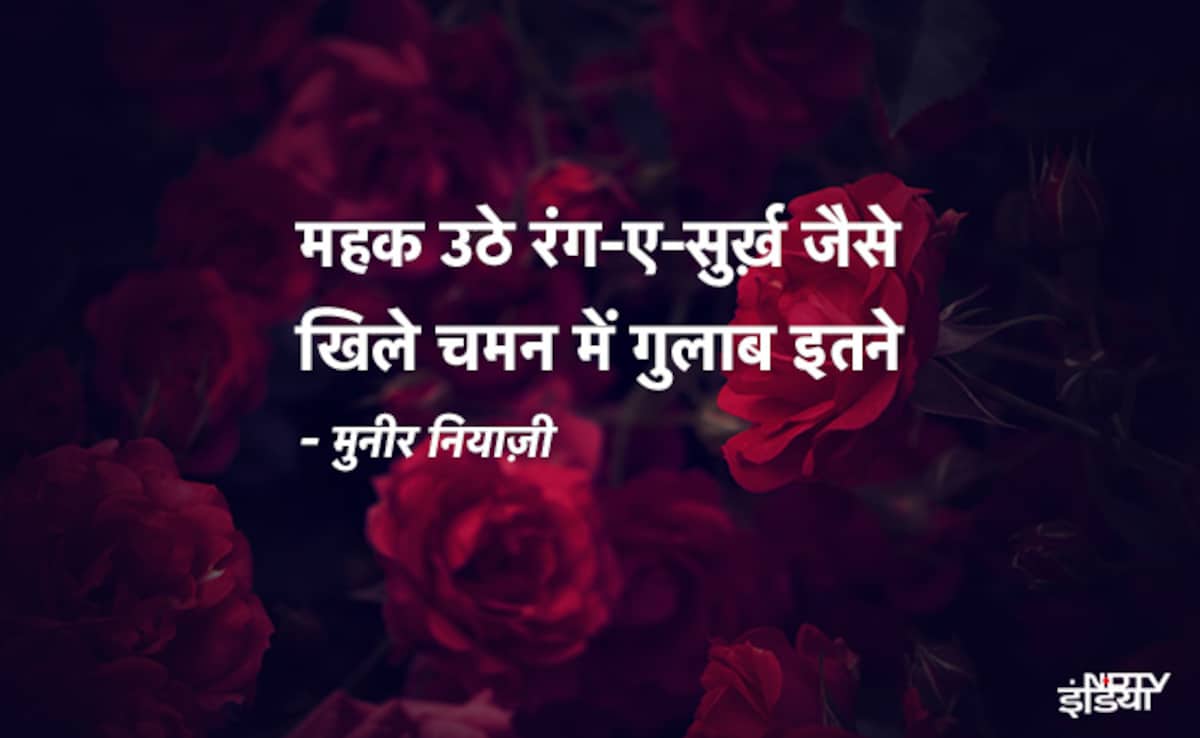 Latest and Breaking News on NDTV Latest and Breaking News on NDTV