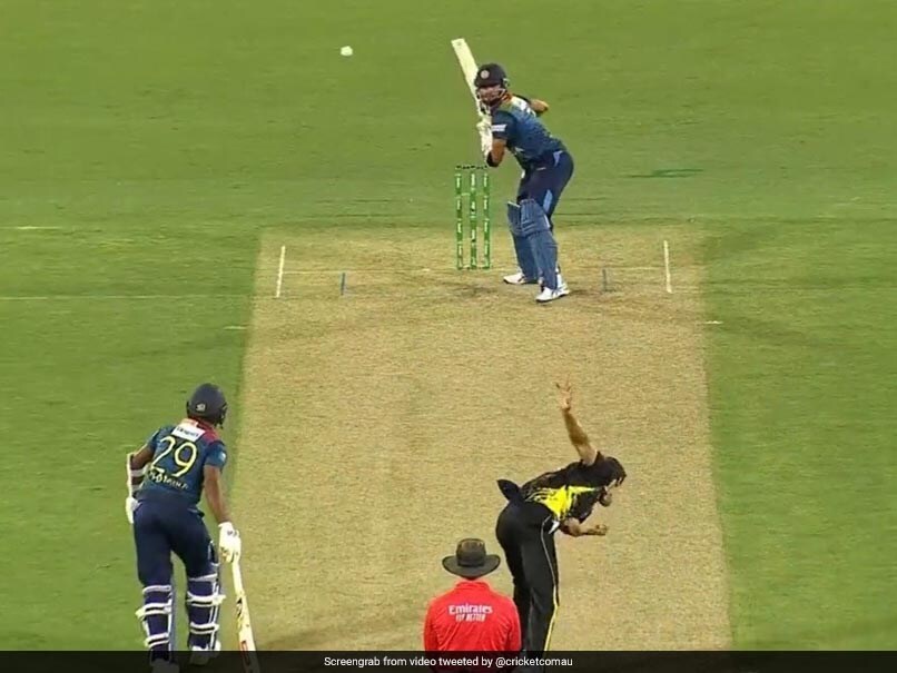 Watch Starc�s OffCutter Doesn�t Go As Planned In Watch Starc�s OffCutter Doesn�t Go As Planned In