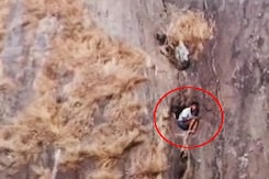 केरल में पहाड़ी के किनारे पर फंसे ट्रेकर की ऐसे बचाई गई जान केरल में पहाड़ी के किनारे पर फंसे ट्रेकर की ऐसे बचाई गई जान