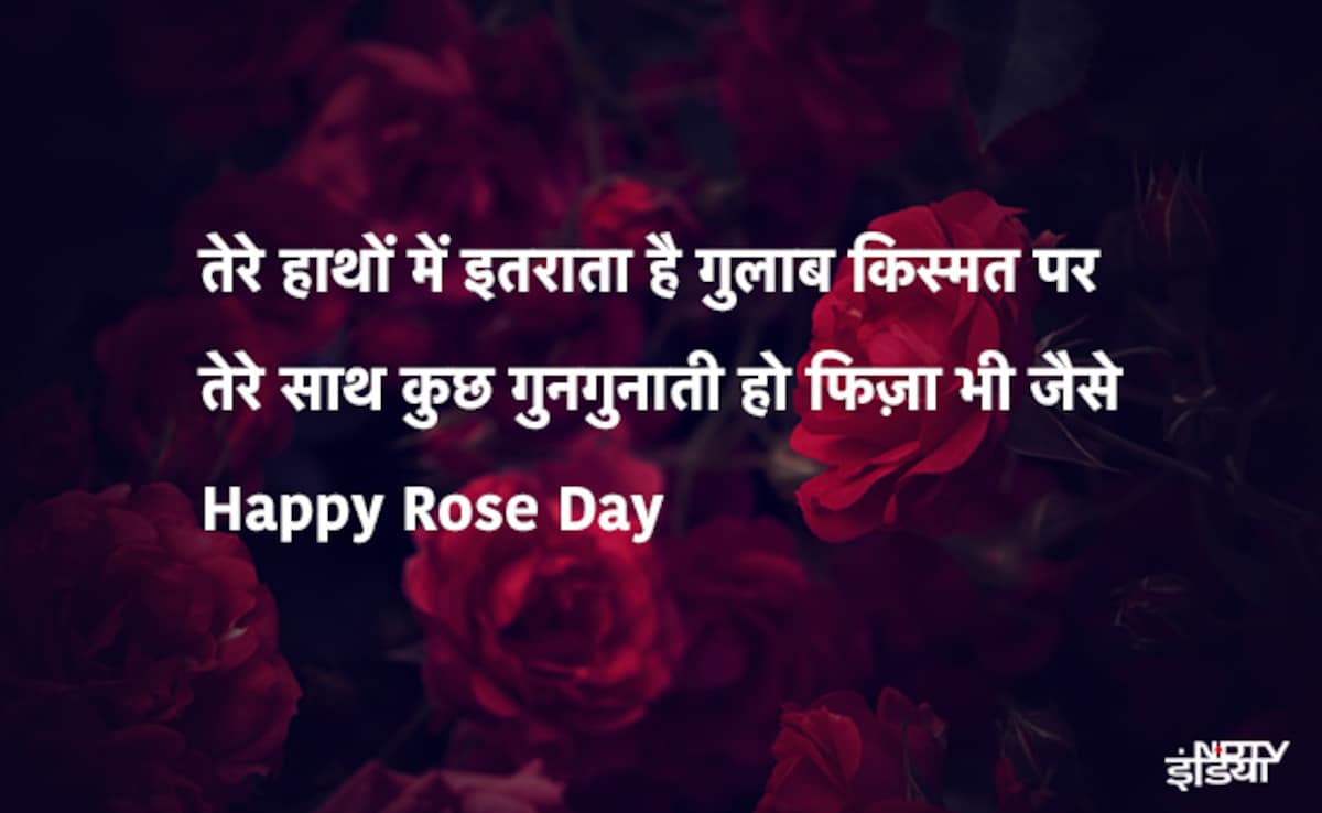 Latest and Breaking News on NDTV Latest and Breaking News on NDTV