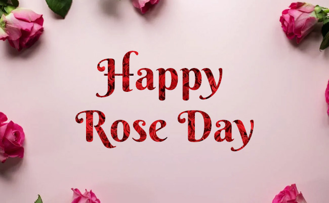 Valentine Week 2022: Happy Rose Day Wishes, Greetings, Images ...