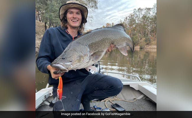 18 साल के लड़के ने मछली पकड़ कमाएं लाखों रुपये, महज 20 मिनट में चमकी किस्मत