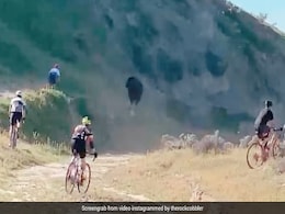 Watch: Cyclist Tossed In The Air By Raging Bull During Race Watch: Cyclist Tossed In The Air By Raging Bull During Race