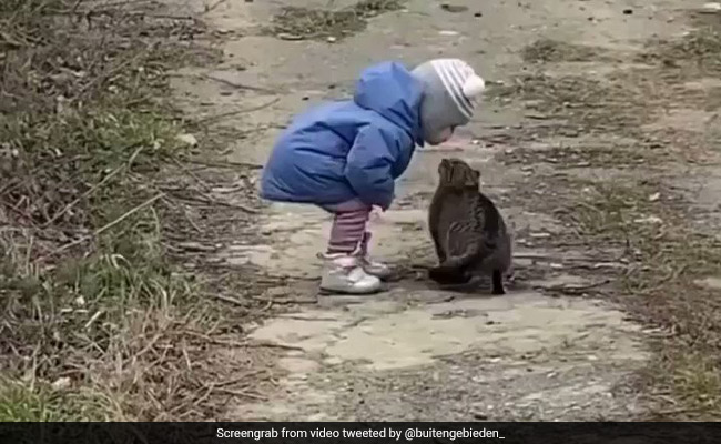 बच्चे ने बिल्ली मौसी को दिया प्यारा किस, वीडियो देख लोगों ने कहा- बहुत प्यारा वीडियो है