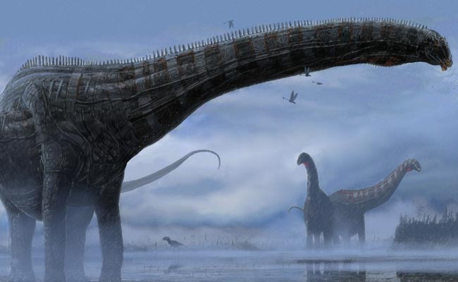 Scientists Discover Over 4,300 Dinosaur Footprints In China: Report