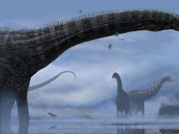What Was The Biggest Dinosaur That Ever Lived? What Was The Biggest Dinosaur That Ever Lived?
