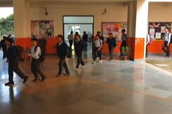 No Class 5, 8 Board Exams This Year, Says Haryana No Class 5, 8 Board Exams This Year, Says Haryana