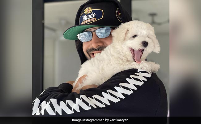 "Home Is Where Katori Is": Kartik Aaryan Shares An Adorable Post With His Pet Pooch