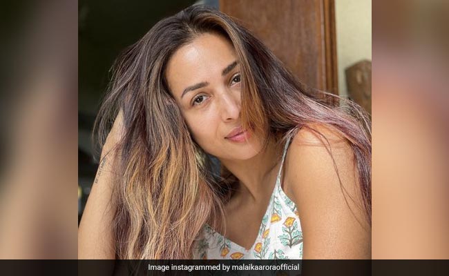मलाइका अरोड़ा ने No Filter के साथ शेयर कीं खूबसूरत फोटोज, तो फराह खान बोलीं- कमीनी तू...
