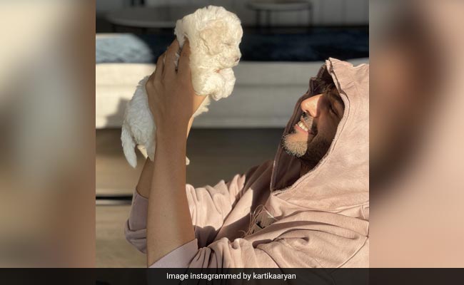 Alia Bhatt To Madhuri Dixit: These Celebs Are Proud Pet Parents