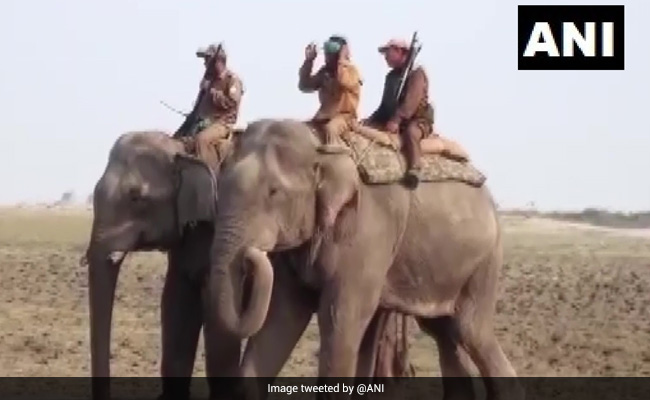 Elephants Deployed To Chase Away Wandering Rhinos In Assam
