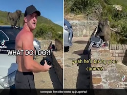 बंदरों ने Youtuber पर किया हमला, चिल्लाता रहा शख्स फिर भी नहीं माना बंदर और फिर... -देखें Video बंदरों ने Youtuber पर किया हमला, चिल्लाता रहा शख्स फिर भी नहीं माना बंदर और फिर... -देखें Video