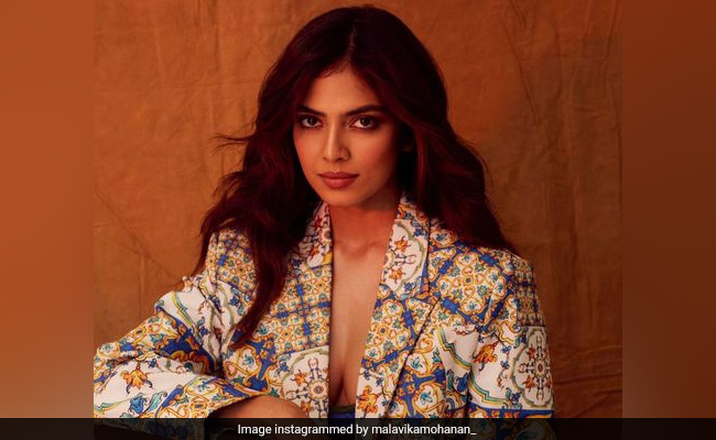 मालविका मोहनन ने 'फेक वल्गर' पोस्ट चलाने पर मीडिया पोर्टल को लगाई फटकार