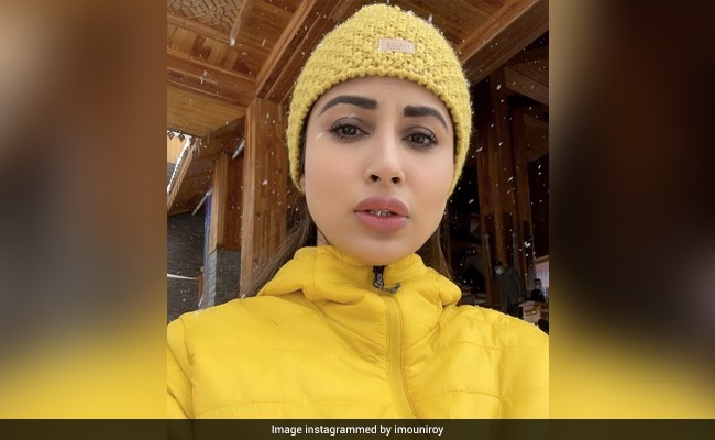 On Mouni Roy And Suraj Nambiar's Kashmir Honeymoon, "Non-Stop Snow" And Maggi