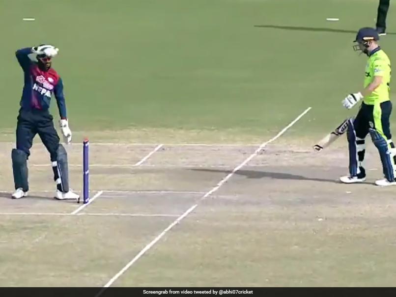 Watch: Nepal's Wicketkeeper Upholds 'Spirit Of Cricket', Refuses To Run Out Ireland Batter During Oman Quadrangular T20I Series