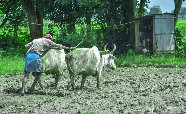 'Clerical Error' Turns Farmer Into 'Poorest In India' With Rs 3 Annual Income