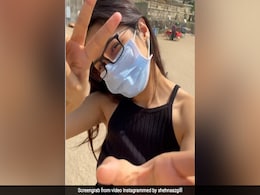 समंदर किनारे शहनाज गिल ने चिड़ियों के साथ जमकर की मस्ती फिर बोलीं- अरे मैं तो थक गई, देखें मजेदार Video समंदर किनारे शहनाज गिल ने चिड़ियों के साथ जमकर की मस्ती फिर बोलीं- अरे मैं तो थक गई, देखें मजेदार Video