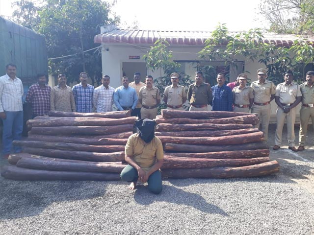 'Pushpa' - Inspired Sandalwood Smuggler Busted