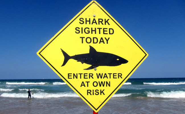 Chinese Sailor Stranded In Shark-Infested Waters Rescued After 12 Hours