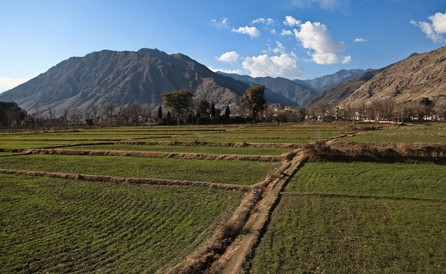 Asian Grouping SCO To Jointly Fight Terrorists Operating From Afghanistan