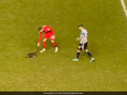 Watch: Cat Is Escorted Off The Field After Disrupting Football Match In England Watch: Cat Is Escorted Off The Field After Disrupting Football Match In England