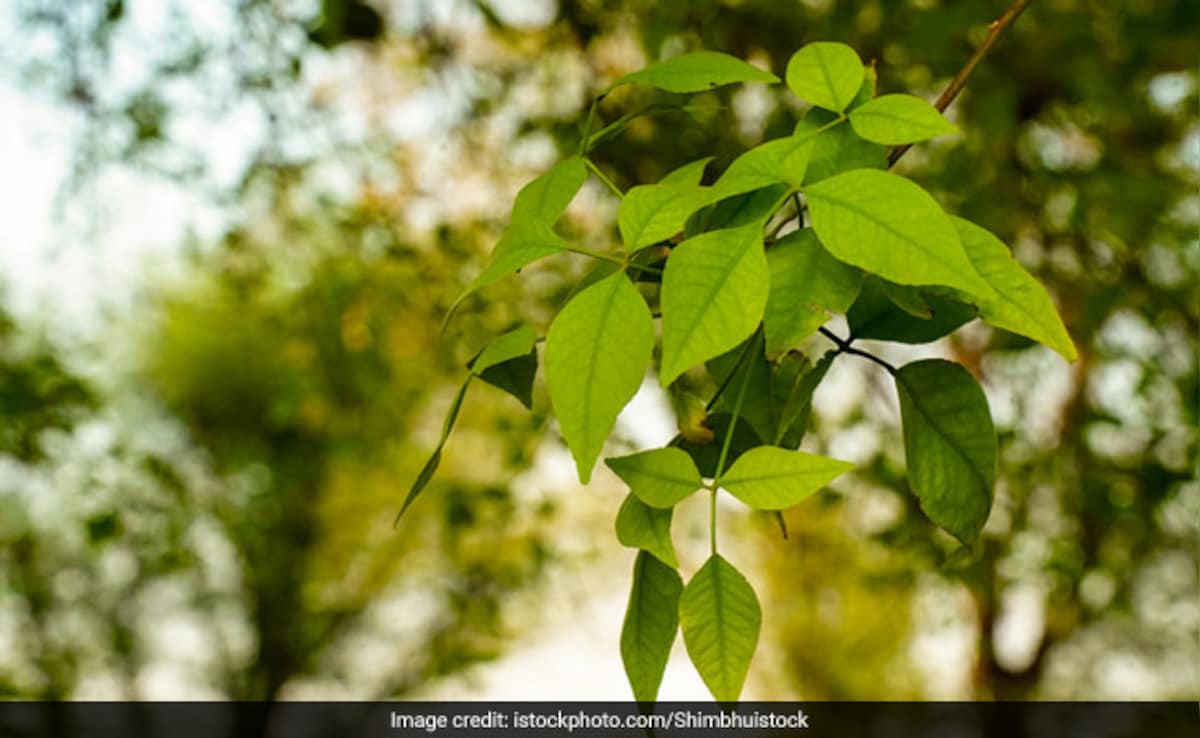 Latest and Breaking News on NDTV Latest and Breaking News on NDTV