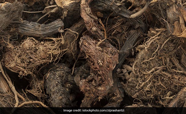 Hair Care: महिलाएं ही नहीं पुरुषों के बालों के लिए भी फायदेमंद है जटामांसी, इस तरह इस्तेमाल से होंगे फायदे