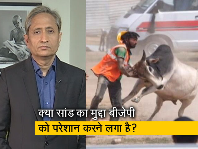 रवीश कुमार का प्राइम टाइम : यूपी की राजनीति - सावधान आगे सांड है