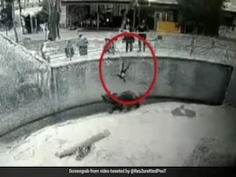 Mother Drops 3-Year-Old Child Into Bear Enclosure In Horrifying Video Mother Drops 3-Year-Old Child Into Bear Enclosure In Horrifying Video