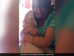 महिला ने कुत्ते को बच्चे की तरह गले से लगाकर किया दुलार, पुचकारते हुए बोली ‘बेटा’, Video देख इमोशनल हुए लोग महिला ने कुत्ते को बच्चे की तरह गले से लगाकर किया दुलार, पुचकारते हुए बोली ‘बेटा’, Video देख इमोशनल हुए लोग