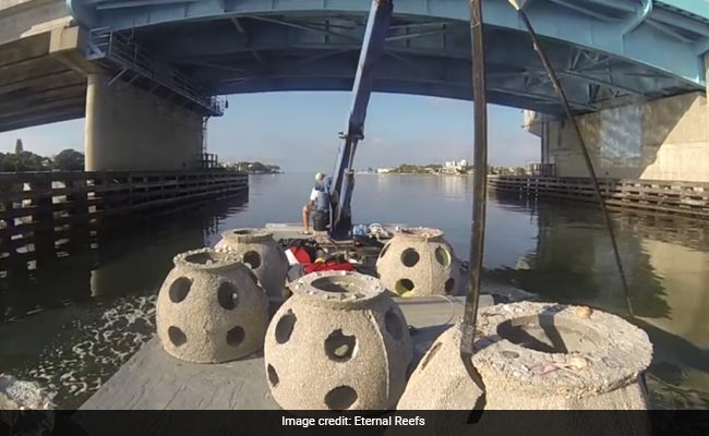 Reef Balls: US Charity Offers Green Way To Create Memorials