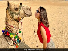 इजिप्ट के रेगिस्तान में ऊंट संग मस्ती करते नजर आईं Hina Khan, तस्वीरें शेयर कर बोलीं- परफेक्ट साथी इजिप्ट के रेगिस्तान में ऊंट संग मस्ती करते नजर आईं Hina Khan, तस्वीरें शेयर कर बोलीं- परफेक्ट साथी